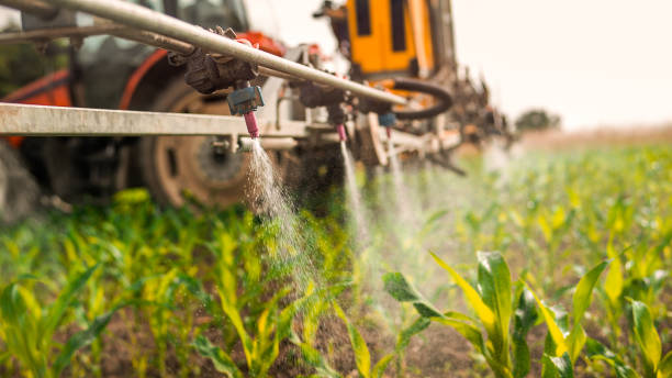 Best Local Pest Control Services  in Altamont, NY